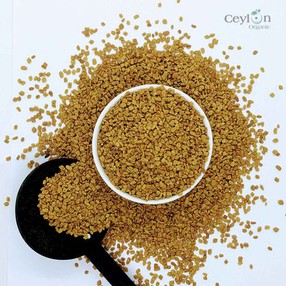 1 கிலோ + வெந்தய விதைகள் GMO அல்லாத டிரிகோனெல்லா ஃபோனம் கிரேகம் முழு மெத்தி விதை மொத்தமாக | சிலோன் ஆர்கானிக்