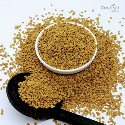 1 கிலோ + வெந்தய விதைகள் GMO அல்லாத டிரிகோனெல்லா ஃபோனம் கிரேகம் முழு மெத்தி விதை மொத்தமாக | சிலோன் ஆர்கானிக்