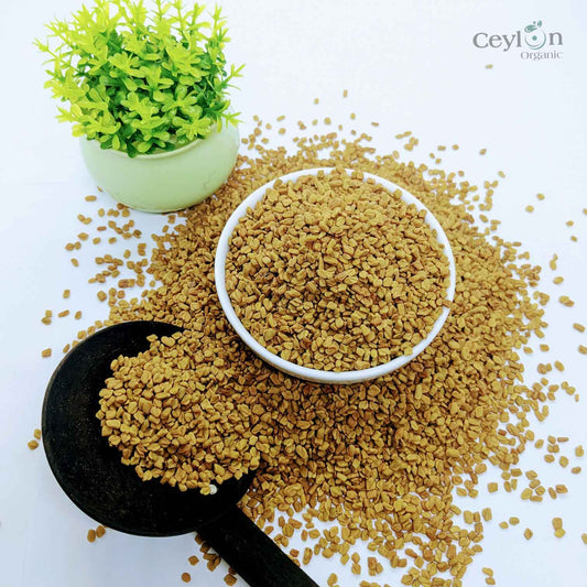 1kg+ ഉലുവ വിത്തുകൾ GMO അല്ലാത്ത ട്രൈഗോണെല്ല ഫോണം ഗ്രേക്കം മുഴുവൻ മെത്തി വിത്ത് ബൾക്ക് | സിലോൺ ഓർഗാനിക്