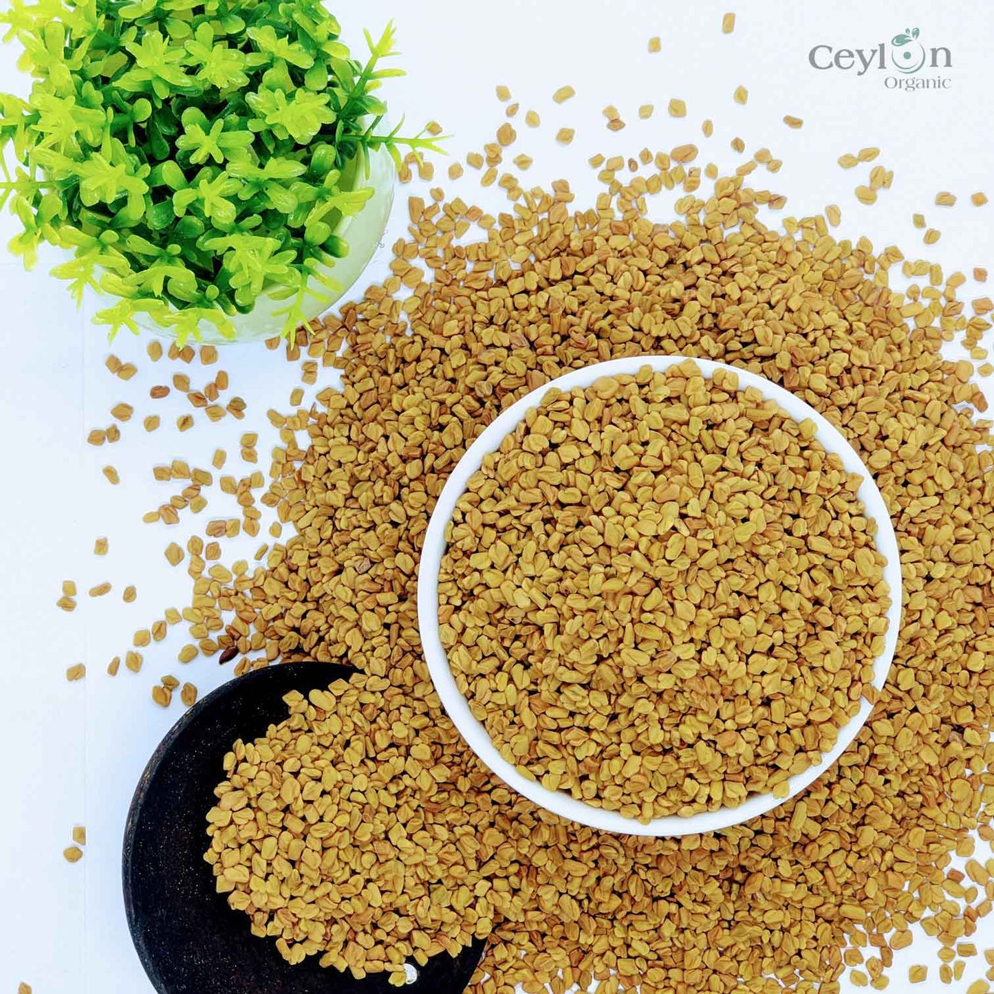 1 கிலோ + வெந்தய விதைகள் GMO அல்லாத டிரிகோனெல்லா ஃபோனம் கிரேகம் முழு மெத்தி விதை மொத்தமாக | சிலோன் ஆர்கானிக்