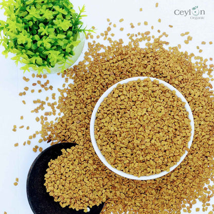 1 கிலோ + வெந்தய விதைகள் GMO அல்லாத டிரிகோனெல்லா ஃபோனம் கிரேகம் முழு மெத்தி விதை மொத்தமாக | சிலோன் ஆர்கானிக்